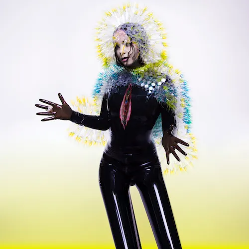 NoteVerticali.it_Bjork_Vulnicura
