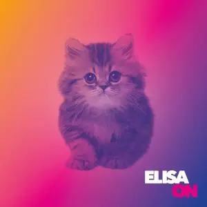 NoteVerticali_Elisa_On_cover
